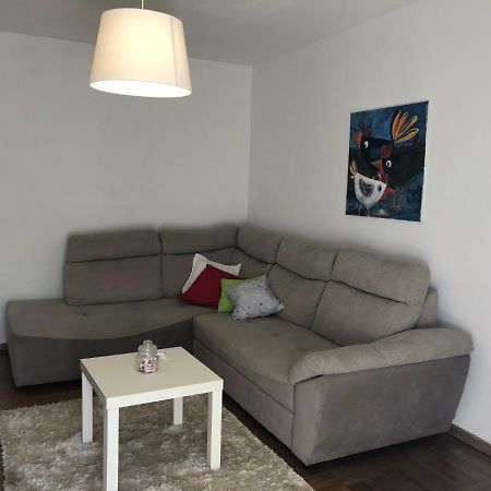 Apartment Safran Novigrad  Bagian luar foto
