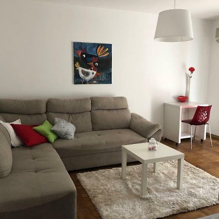 Apartment Safran Novigrad  Bagian luar foto