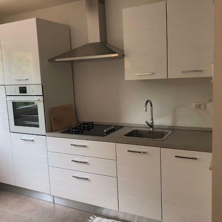 Apartment Safran Novigrad  Bagian luar foto