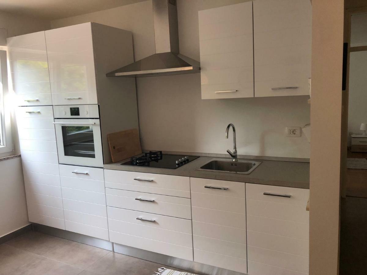 Apartment Safran Novigrad  Bagian luar foto